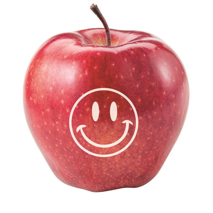 Logo Frucht Apfel Smile